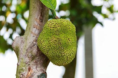 来玩游戏！Paras搞了个独立游戏展？